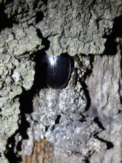 f0104042_182596.jpg
