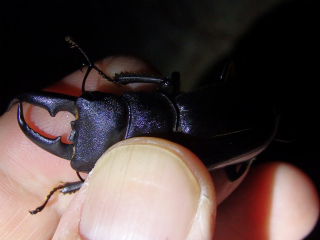 f0104042_183021.jpg