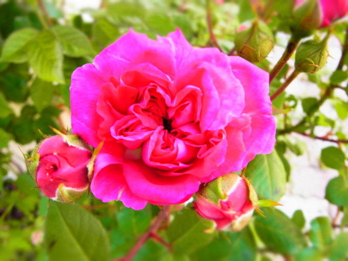 a0305046_08322794.jpg