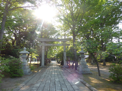 b0238249_20414250.jpg