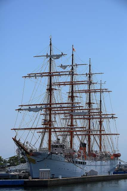 e0184251_7355153.jpg