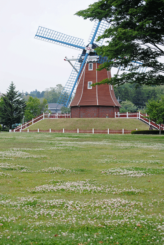 a0001354_23523353.gif