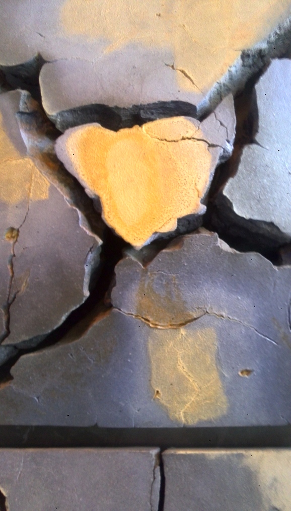 c0050857_9481167.jpg