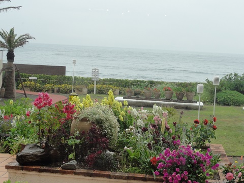 d0029363_2171769.jpg