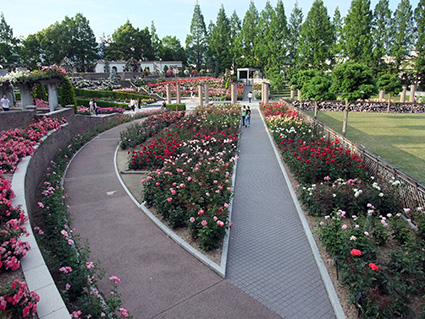 b0059664_9413061.jpg