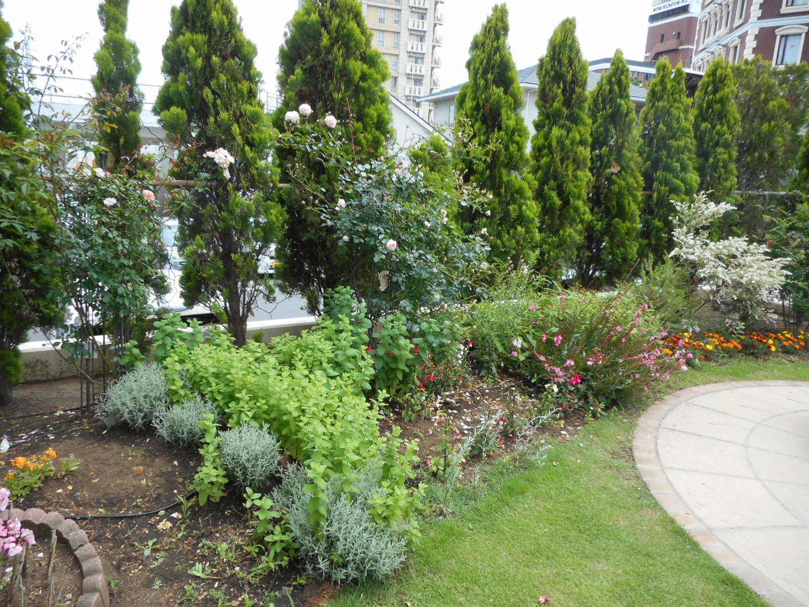 c0336266_18033613.jpg