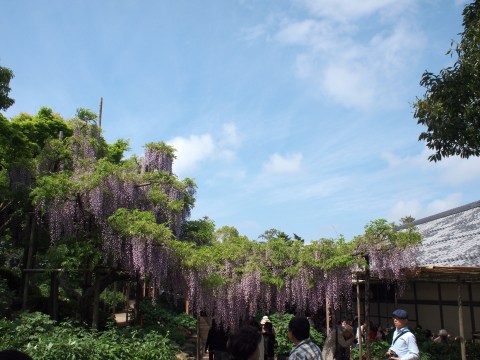 e0045768_22254731.jpg