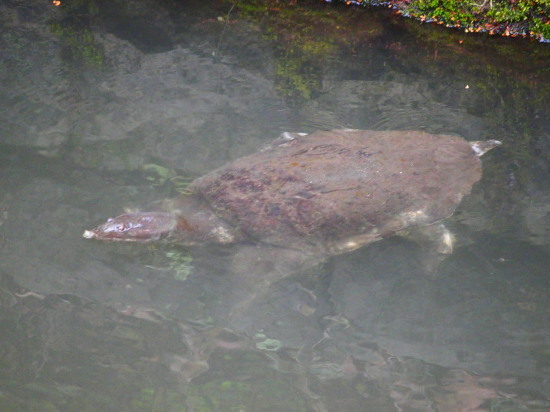 c0122670_01064066.jpg