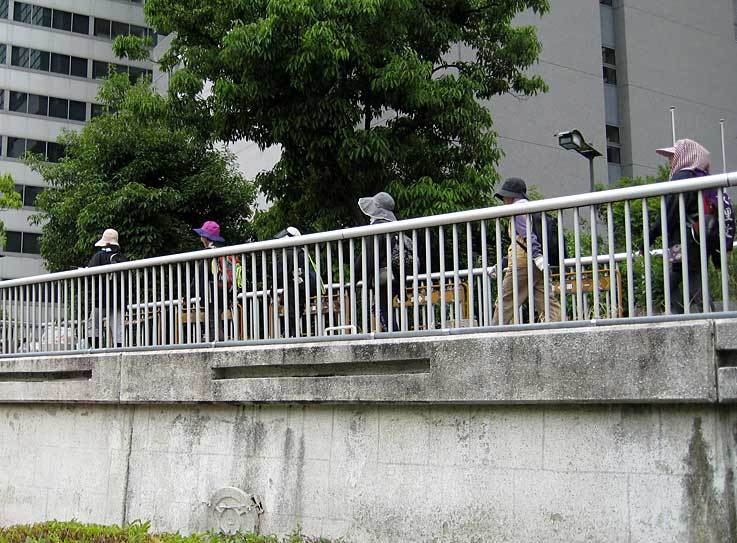 b0057679_09483693.jpg
