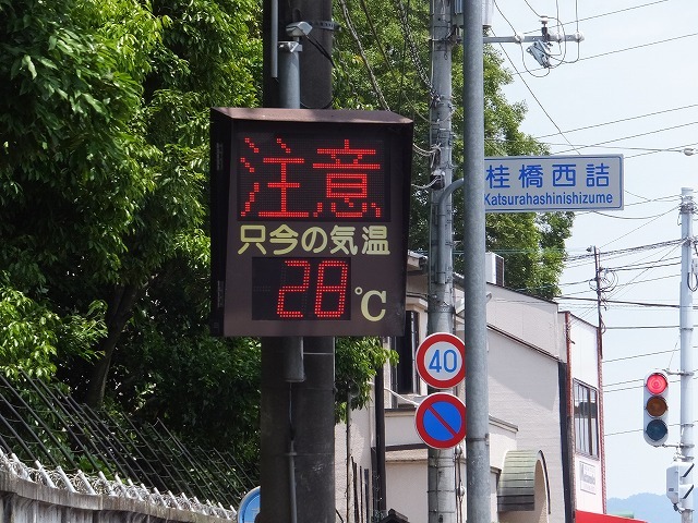 b0317485_16271164.jpg