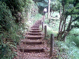 d0007286_17333838.jpg