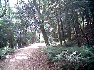 d0007286_17342947.jpg