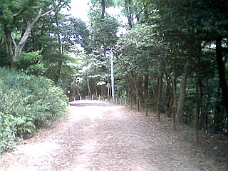 d0007286_17381330.jpg
