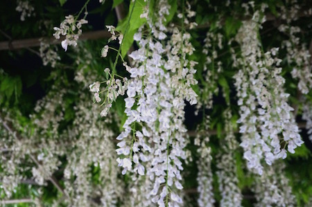 e0194987_1319201.jpg