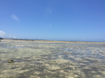 f0338188_17285829.jpg