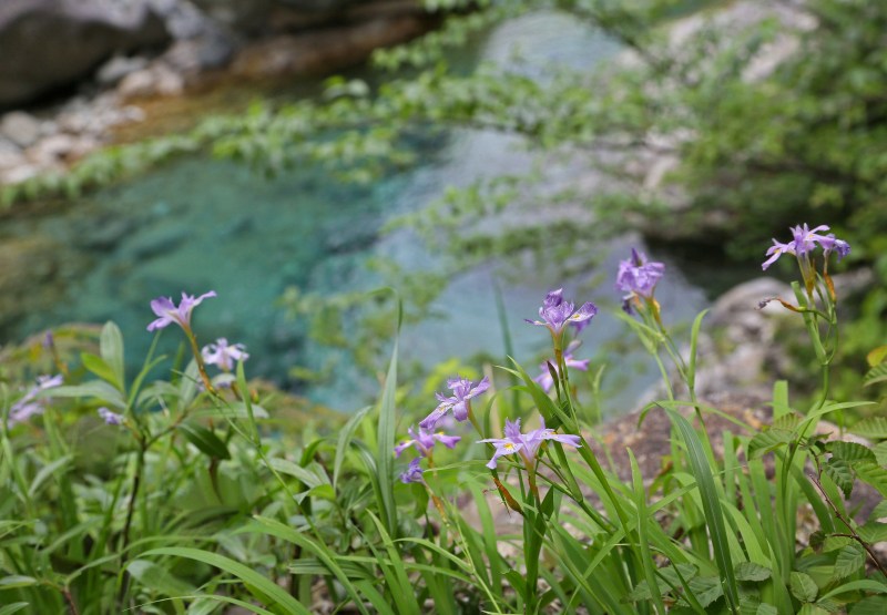 f0000789_9234718.jpg