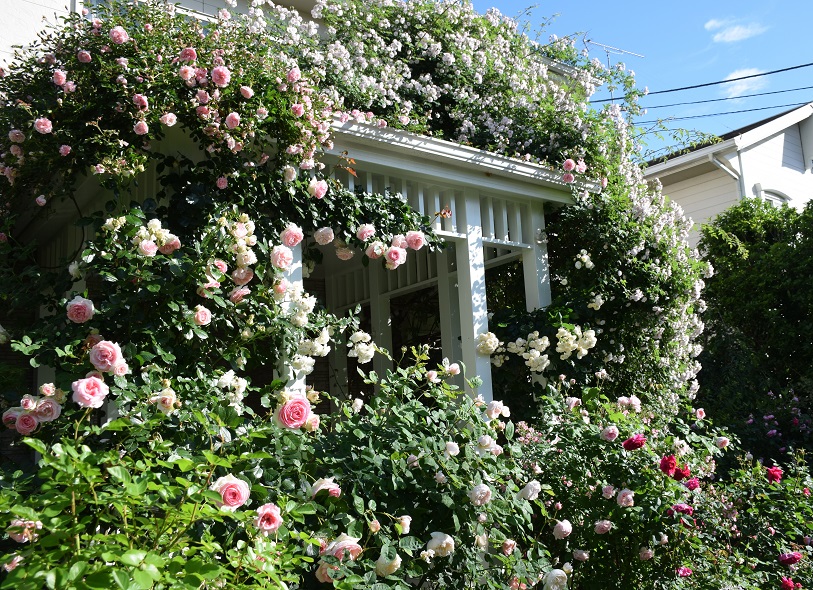 d0099791_1056183.jpg