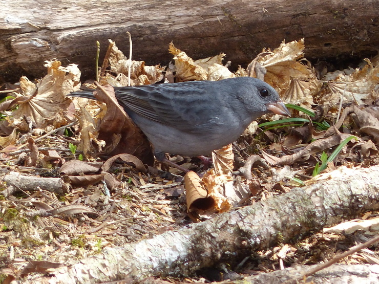 c0324393_20091154.jpg