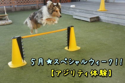 a0338800_20052130.jpg