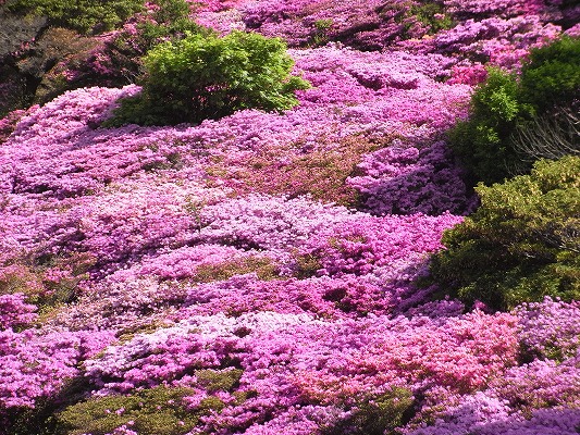 f0187402_2143939.jpg