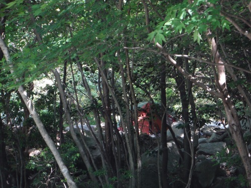 b0326303_17432563.jpg