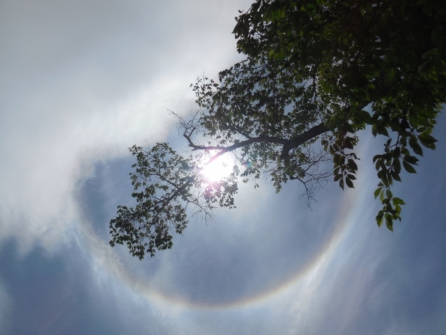 d0024504_22035634.jpg