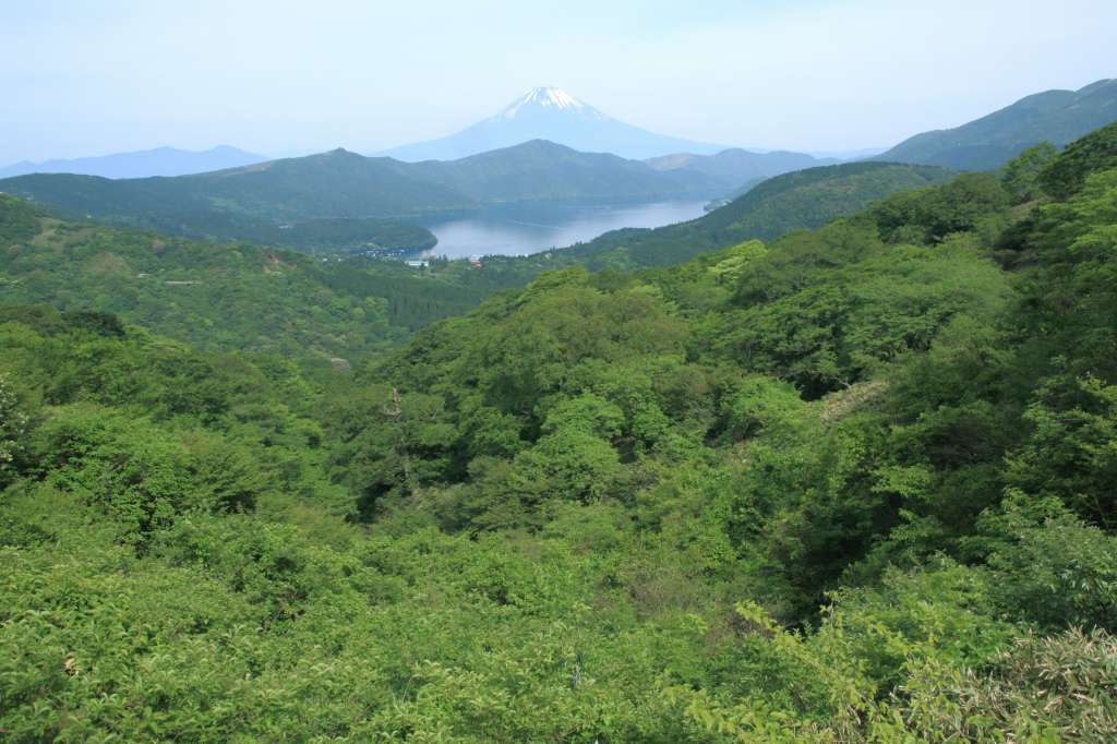 a0188405_09055245.jpg