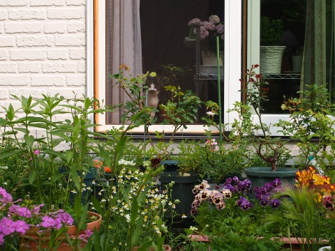 c0117007_2114083.jpg