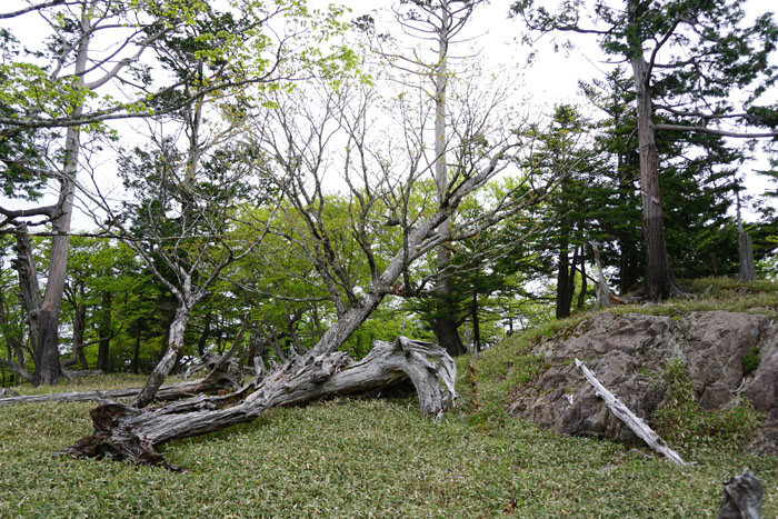 e0077010_21361787.jpg