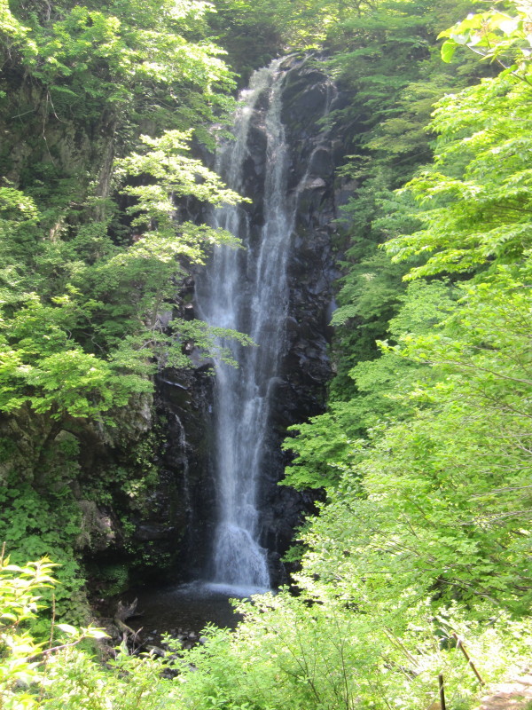 d0103314_21385119.jpg