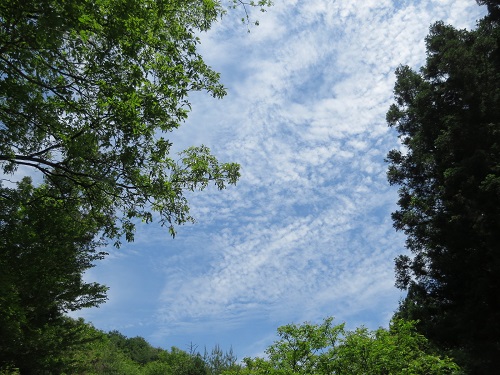 c0175715_15551143.jpg