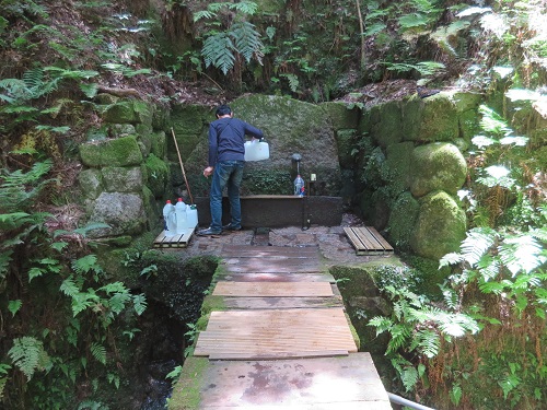 c0175715_1556617.jpg