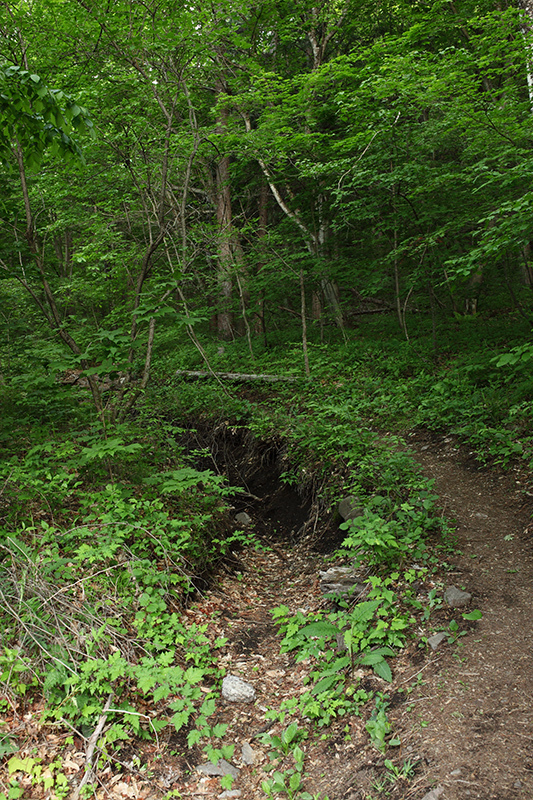 c0369219_21583393.jpg