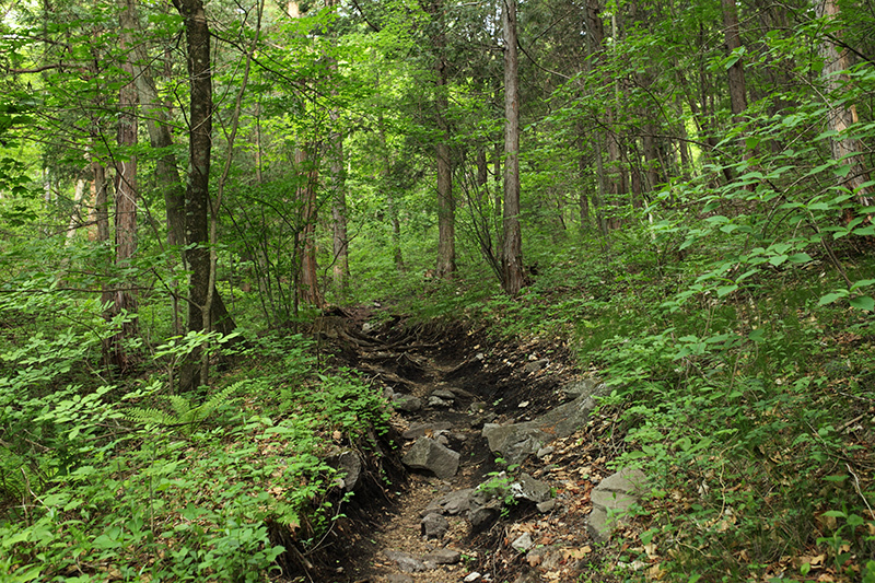 c0369219_22015522.jpg