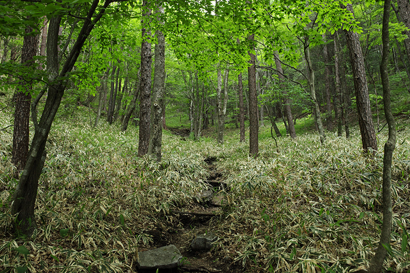 c0369219_22034175.jpg
