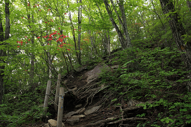 c0369219_22110507.jpg