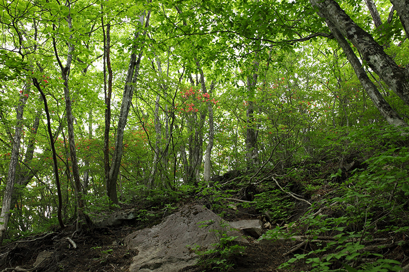 c0369219_22133908.jpg