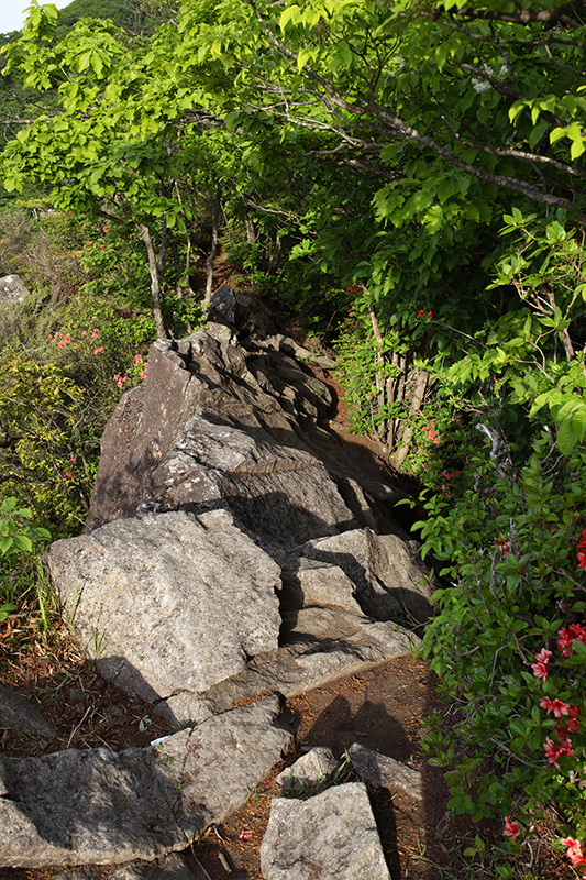 c0369219_22330029.jpg