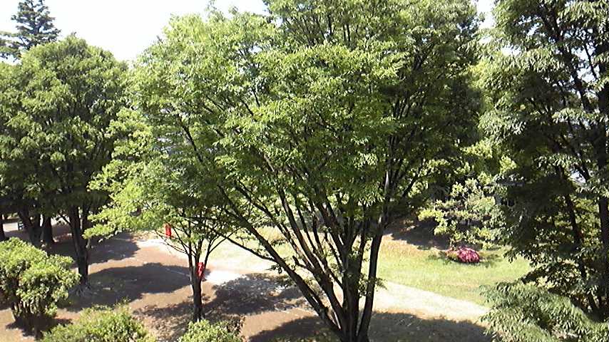 c0038722_11432629.jpg