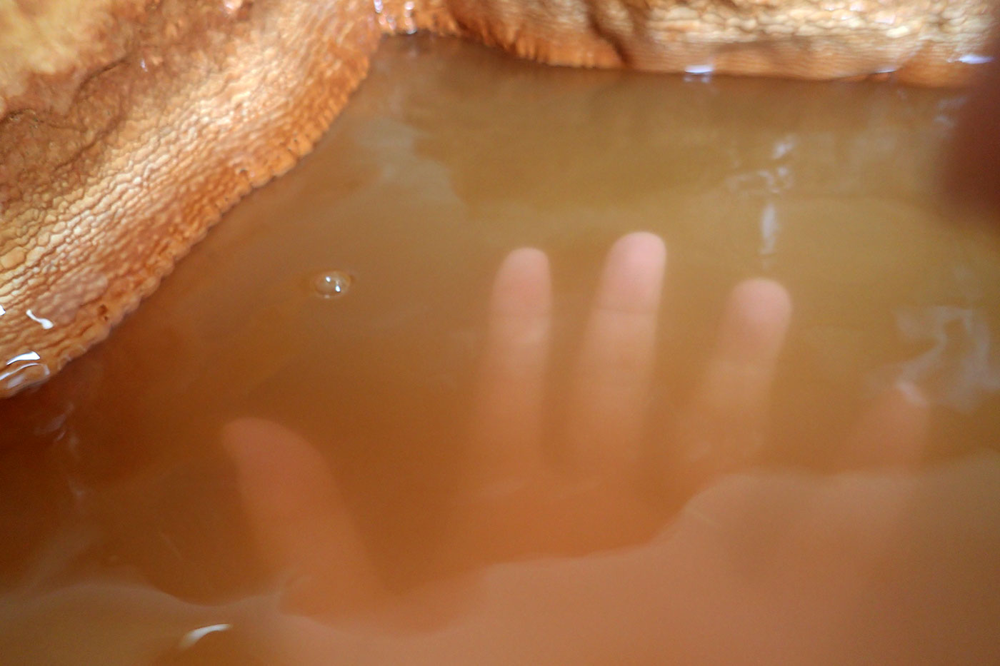 c0064025_18454878.jpg