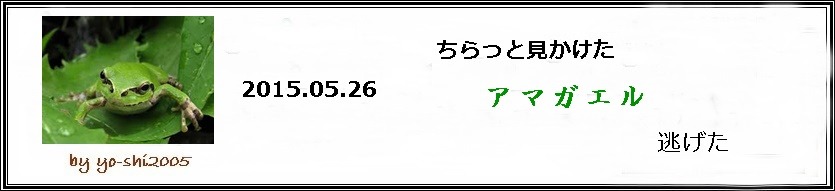 e0033229_19453850.jpg