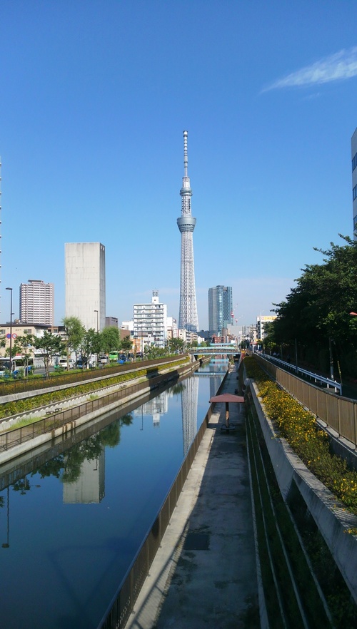 e0208633_5581019.jpg