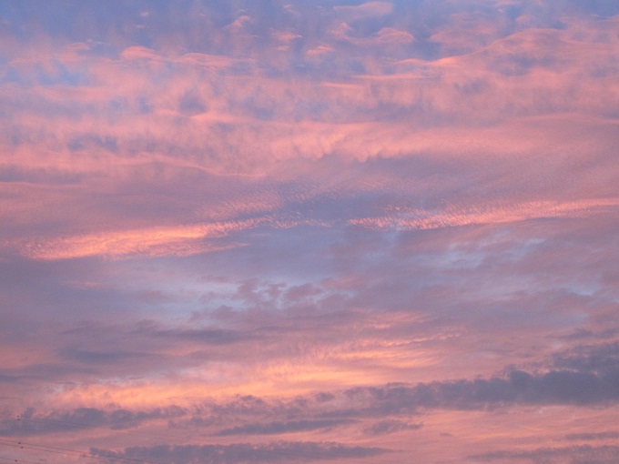 f0002833_15354884.jpg