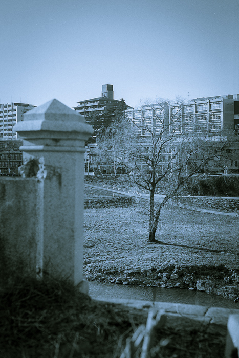 f0265234_21305028.jpg