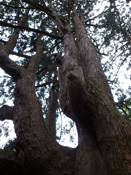 b0036636_185559.jpg