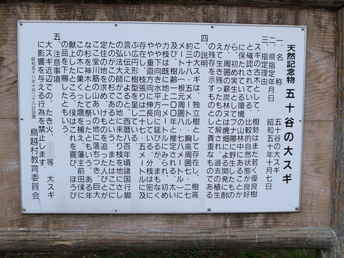 b0036636_18571334.jpg