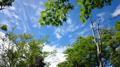 a0289641_15365548.jpg