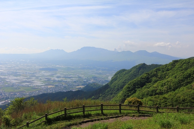 d0132743_1064411.jpg