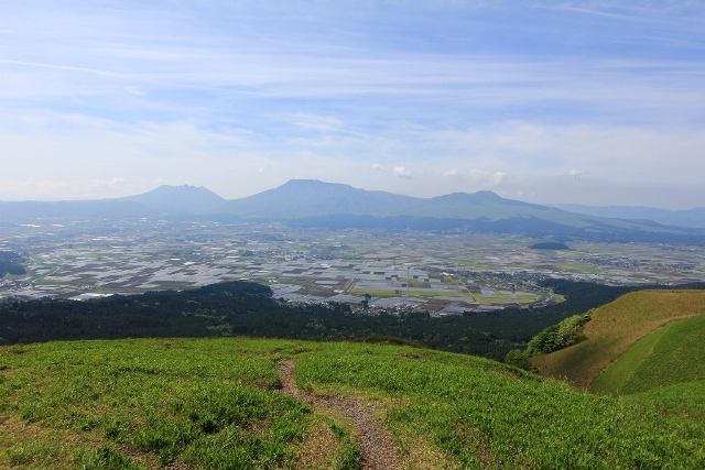 d0132743_1075925.jpg