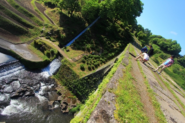 d0132743_11271641.jpg